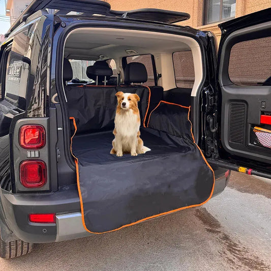 Dog sitting on a car mat in the open trunk of a vehicle