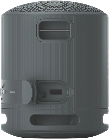 Sony SRS-XB100 speaker back view