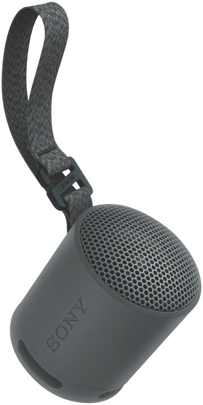 Sony SRS-XB100 speaker with carry strap