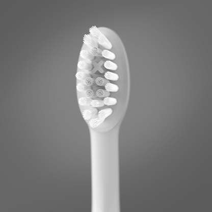Ordo Sonic Plus toothbrush head close up