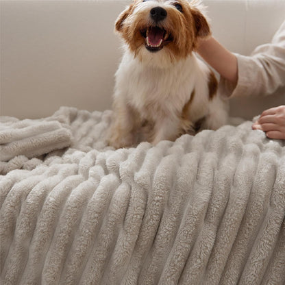 Dog sitting on a fluffy beige blanket with a person petting it