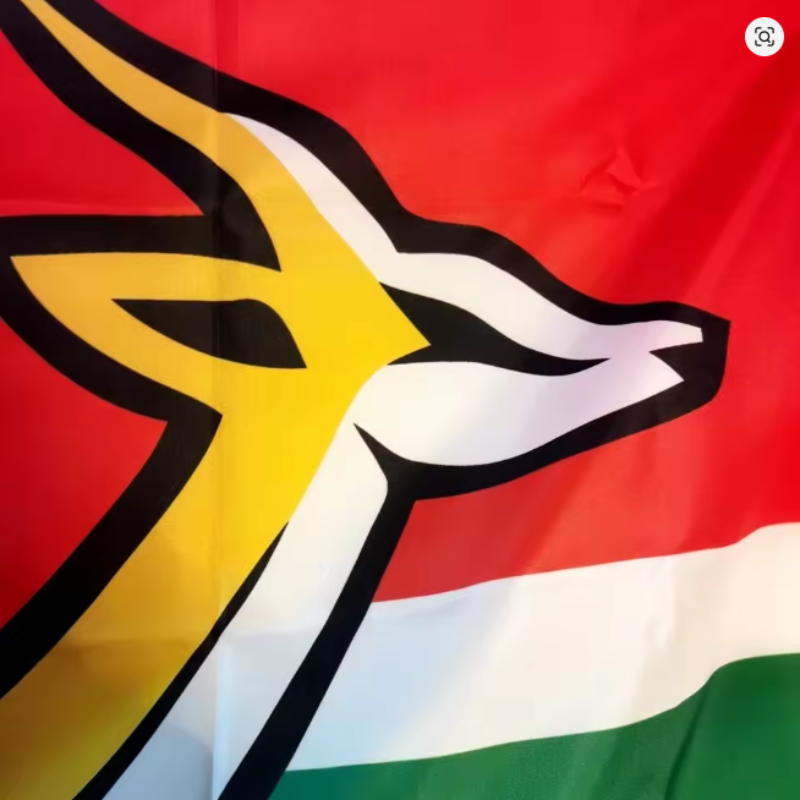 A close-up of a flag featuring a stylized antelope head in yellow, white, and black over horizontal red, white, and green bands.