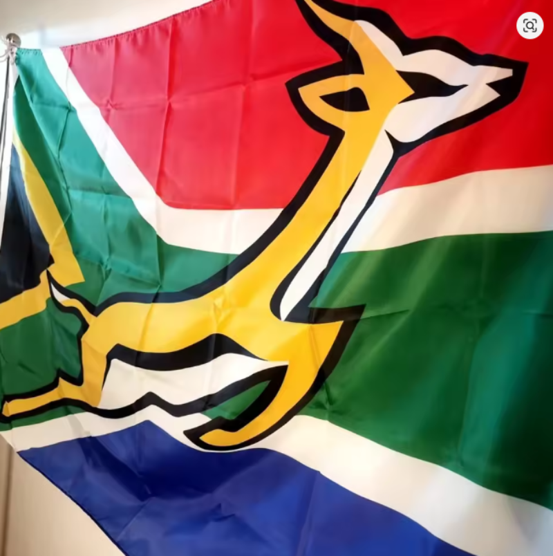 South African flag with the national coat of arms springbok, shown hanging with a metal flagpole visible on the left side.