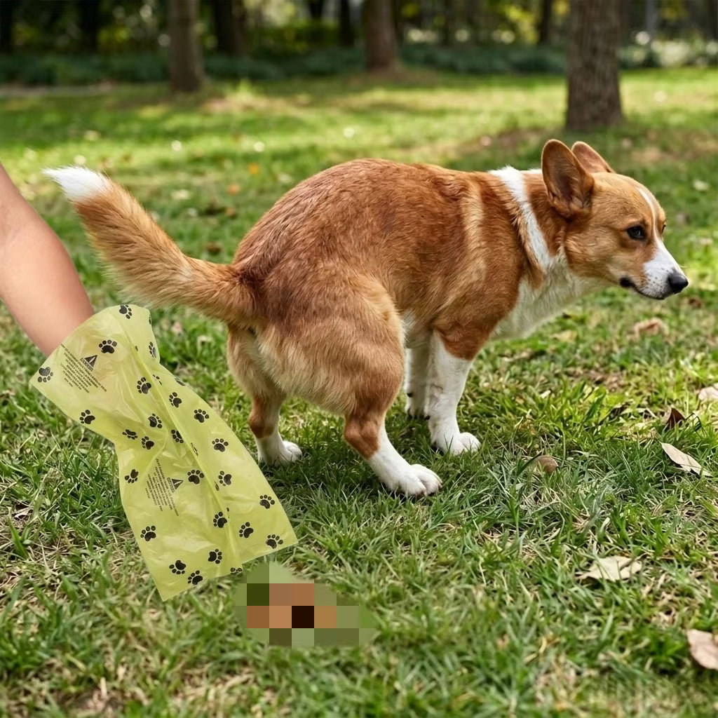 Biodegradable Dog Poop Bags with Printed Pattern | Eco-Friendly Waste Bags AEX Av8Store