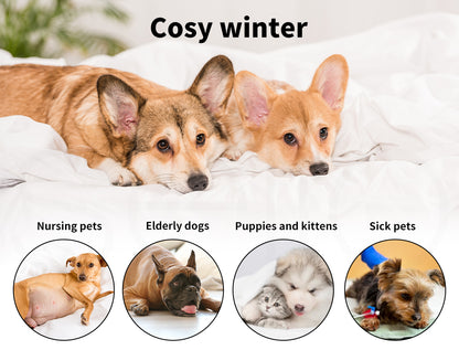 Two dogs lying on a bed with text 'Cosy winter' and subcategories like 'Nursing pets', 'Elderly dogs', 'Puppies and kittens', and 'Sick pets'.