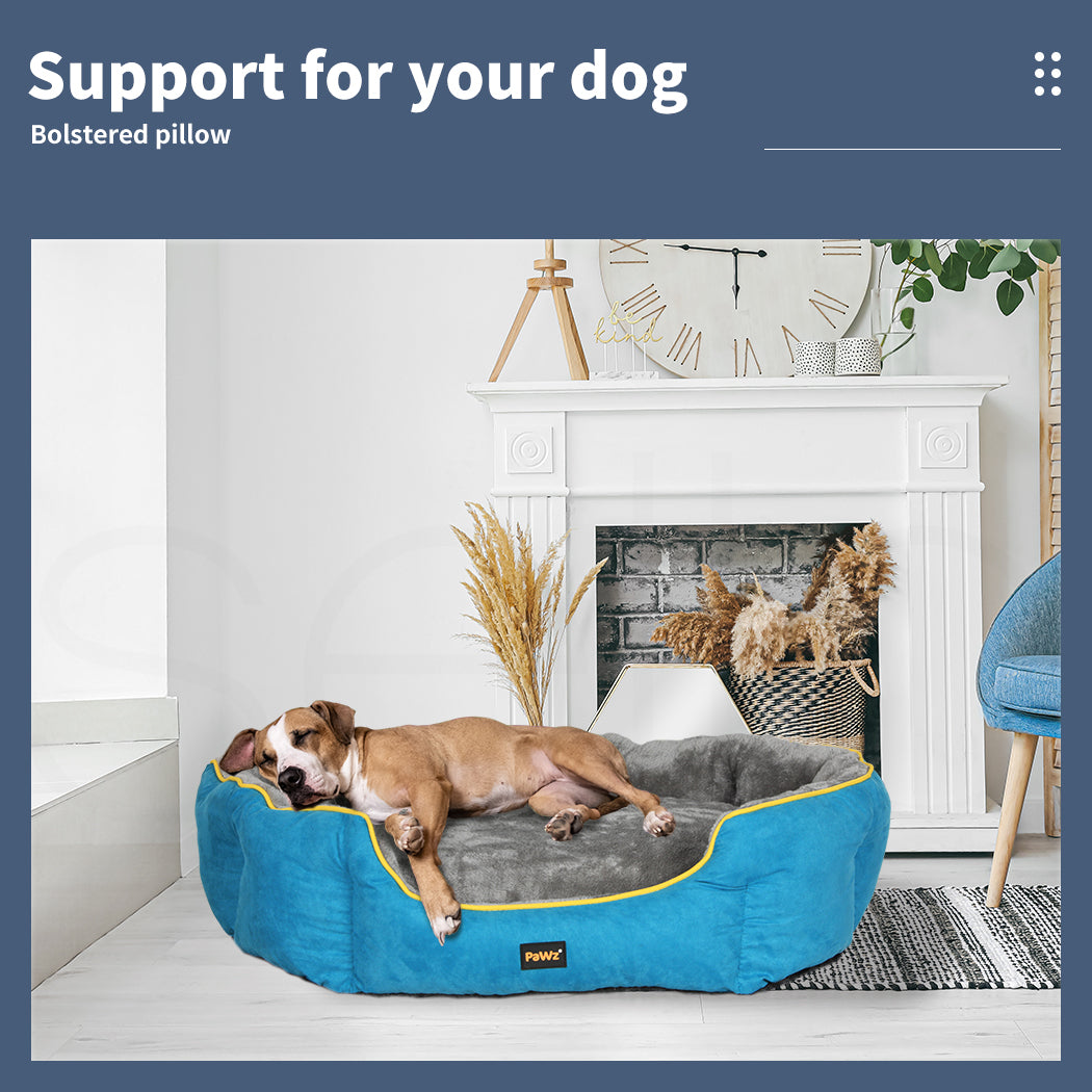 Dog lying on a blue and gray bolstered pet bed in a cozy living room.