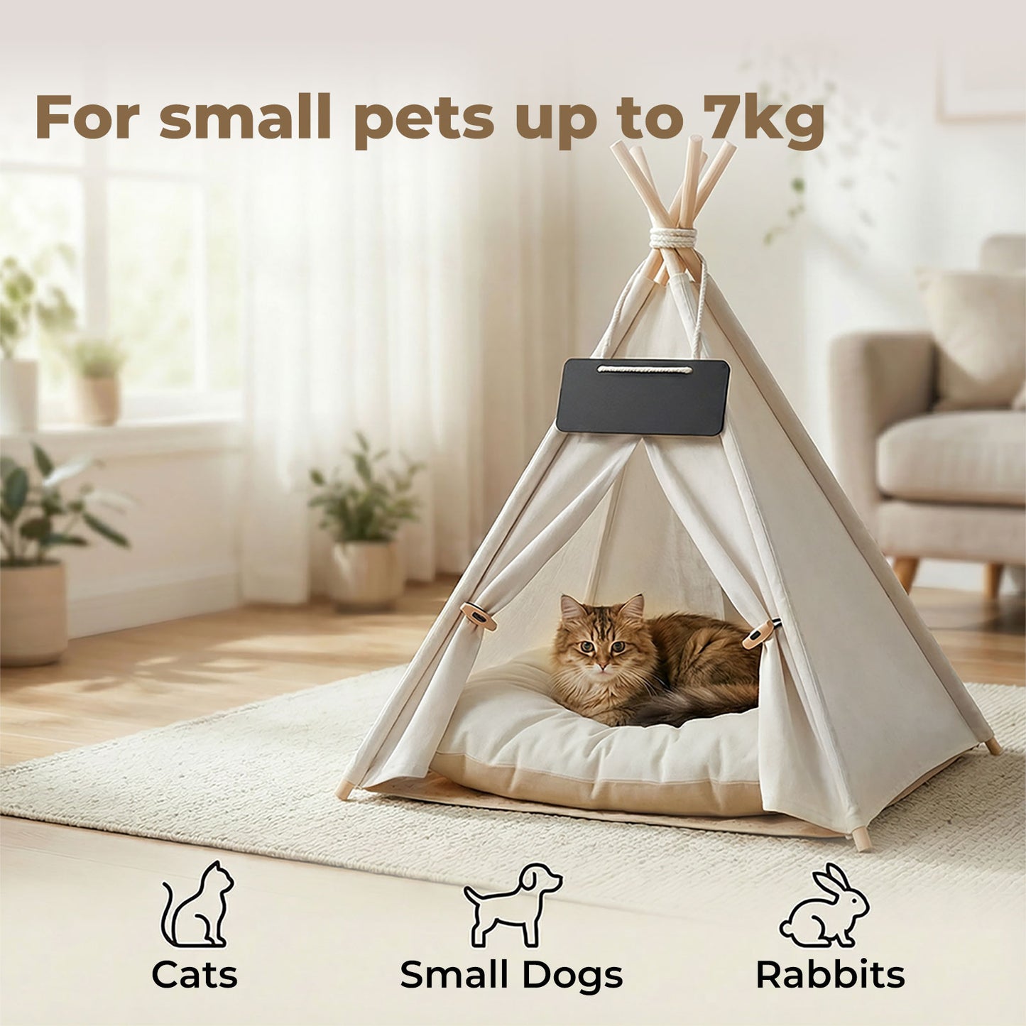 Pawz Pet Tent Bed – Cozy Indoor House for Cats, Puppies & Small Dogs | Washable Cushion GPG Av8Store