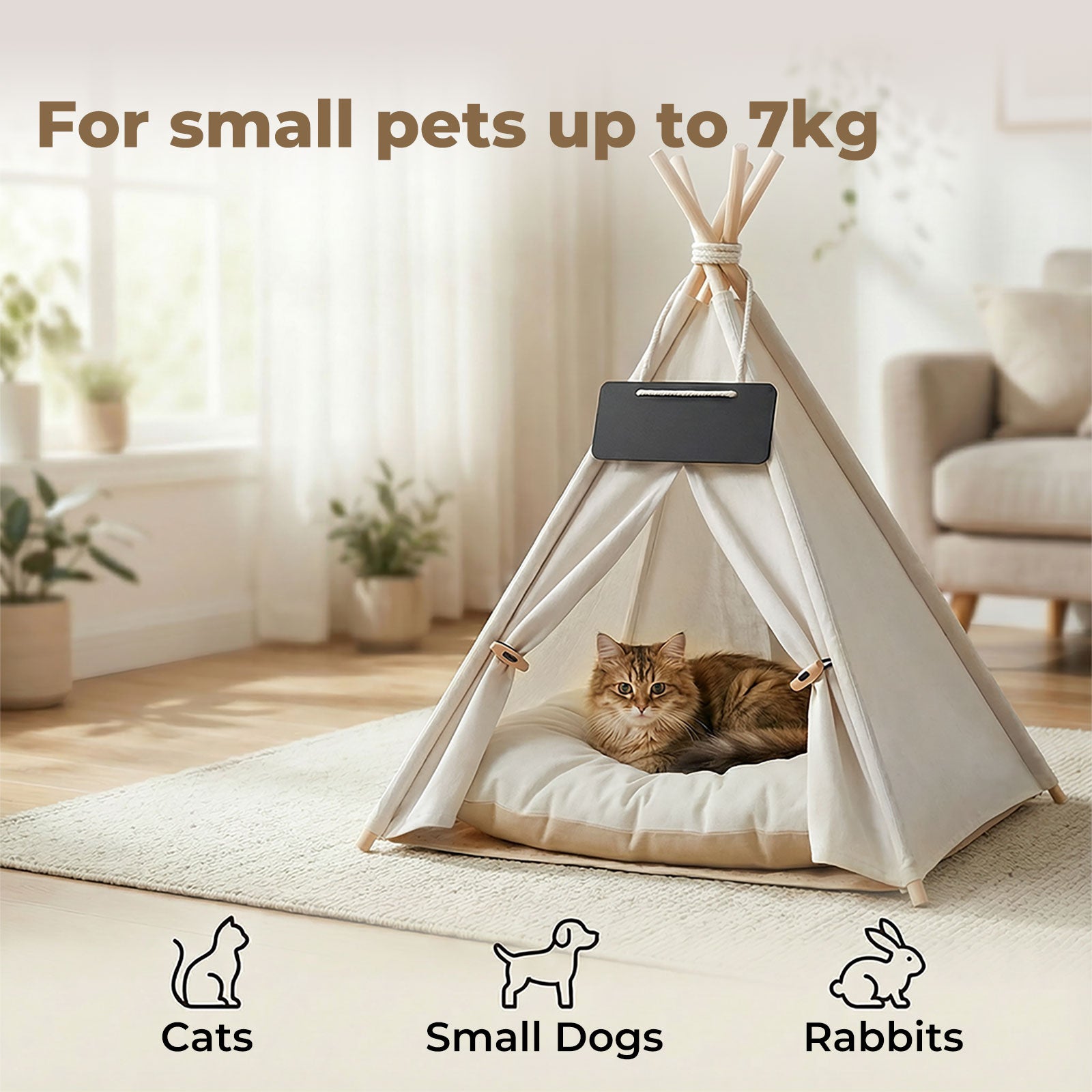 Pawz Pet Tent Bed – Cozy Indoor House for Cats, Puppies & Small Dogs | Washable Cushion GPG Av8Store