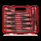 Milwaukee Screwdriver Set 12 Piece Milwaukee Av8Store