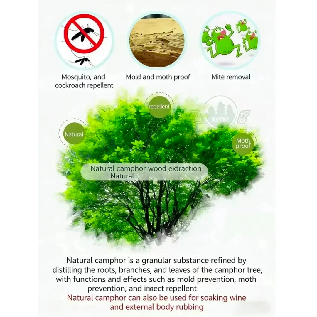 Anti-mold camphor tablets in storage box