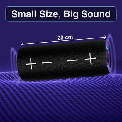 Portable Speaker