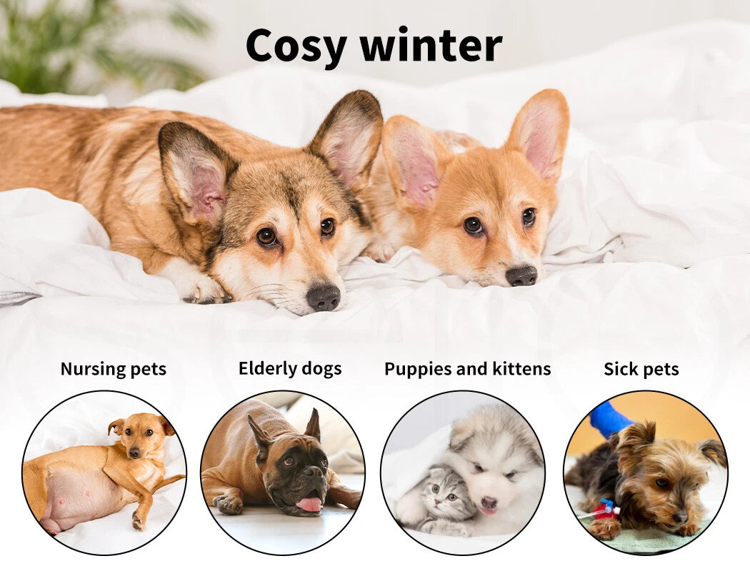 PaWz Heated Pet Bed – Electric Warming Mat for Dogs & Cats | Removable Washable Cover | S–XL GPG Av8Store