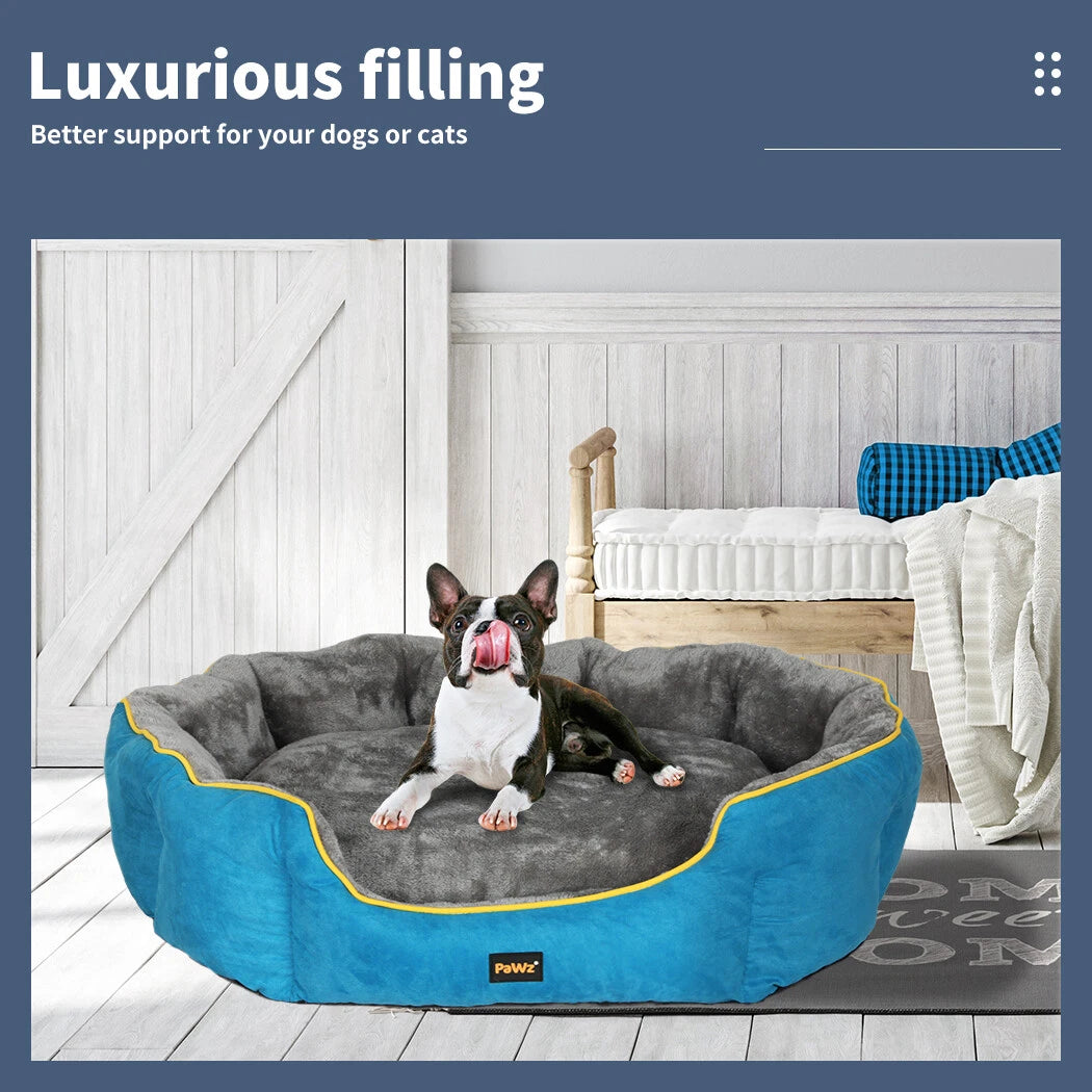 Dog lying on a blue and gray pet bed with a cozy room background