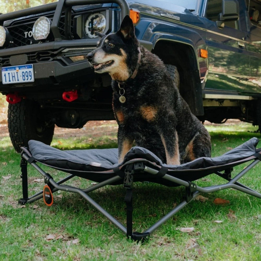 Wildtrak pet bed padded surface detail