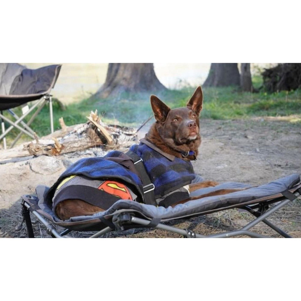 Wildtrak pet bed legs and elevation