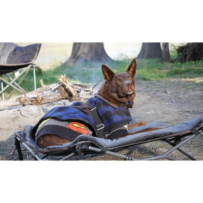 Wildtrak pet bed legs and elevation