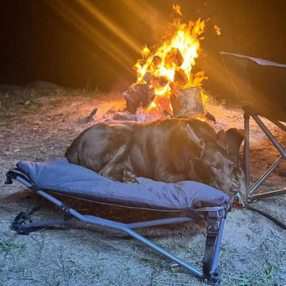 Wildtrak pet bed folded for transport
