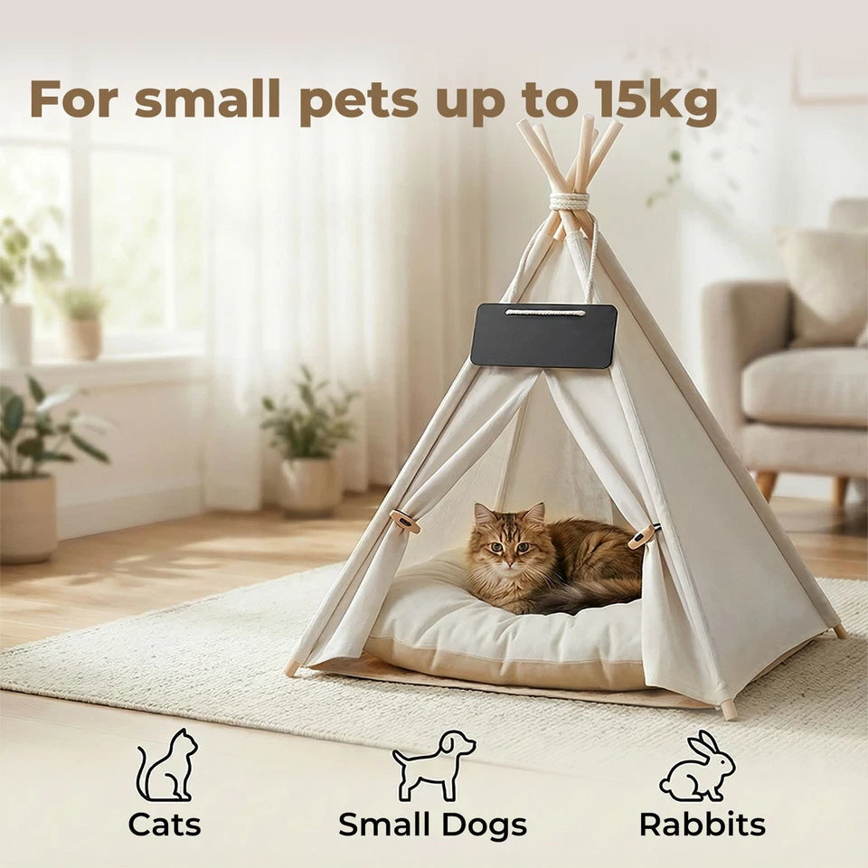 Pawz Pet Tent Bed – Cozy Indoor House for Cats, Puppies & Small Dogs | Washable Cushion GPG Av8Store